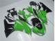 Carrosserie Moto Kawasaki ZX6R 2009-2012 - Vert Noir